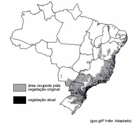 questões de concursos Polícia Militar do Estado de São Paulo (PM SP) 2017 